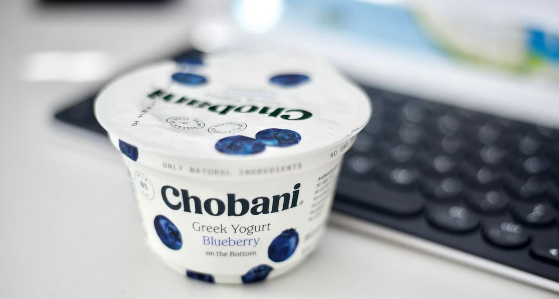 yogurt business guide